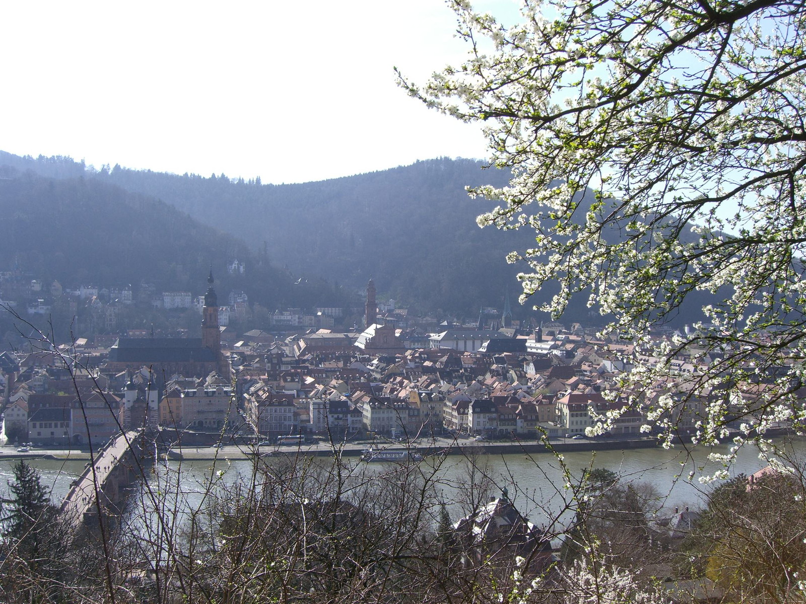 Heidelberger Altstadt